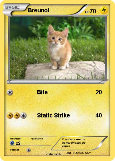 Pokemon Breunoi