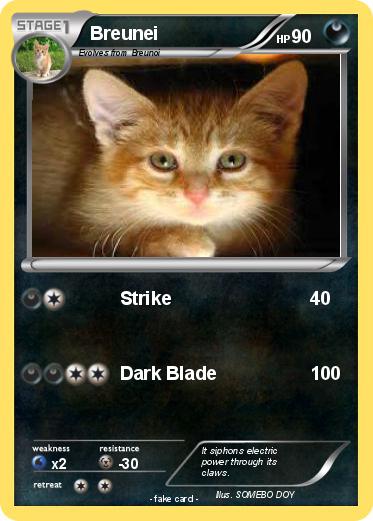 Pokemon Breunei