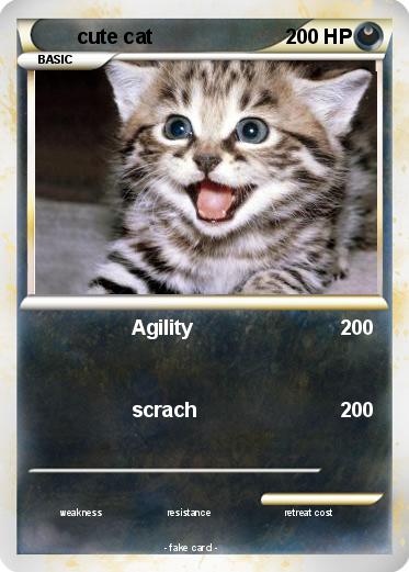 Pokemon cute cat