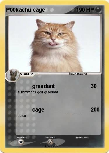 Pokemon P00kachu cage