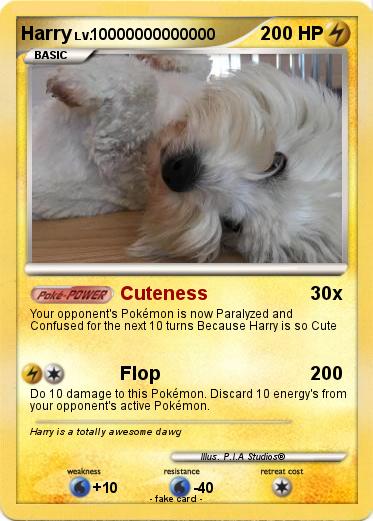 Pokemon Harry