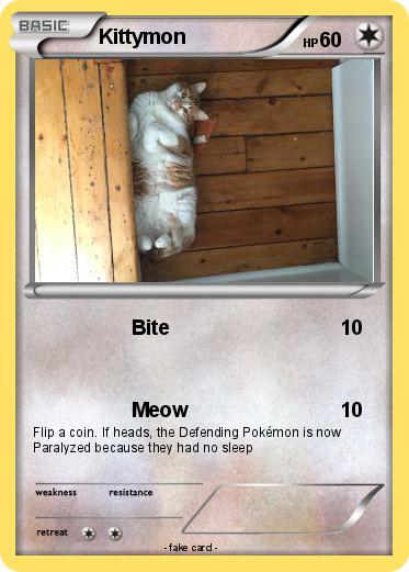 Pokemon Kittymon