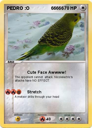 Pokemon PEDRO :O                 66666
