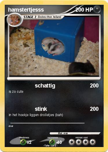 Pokemon hamstertjesss