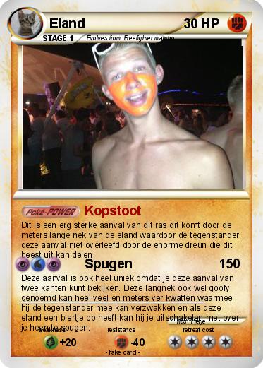 Pokemon Eland