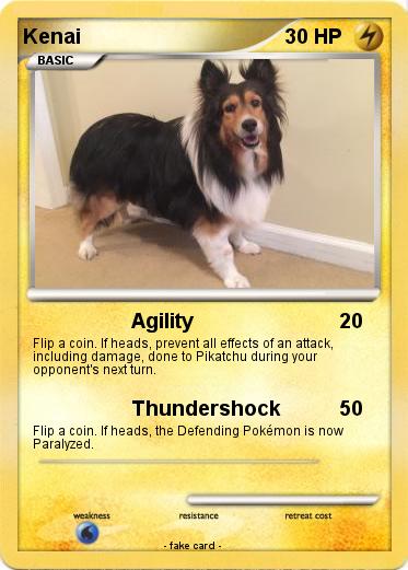 Pokemon Kenai