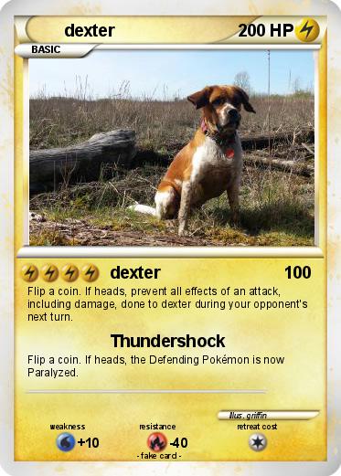 Pokemon dexter