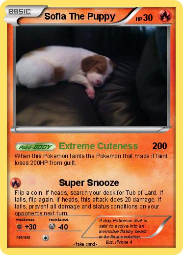 Pokemon Sofia The Puppy