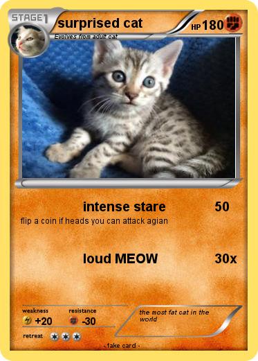 Pokemon surprised cat