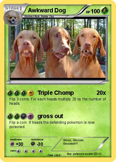 Pokemon Awkward Dog