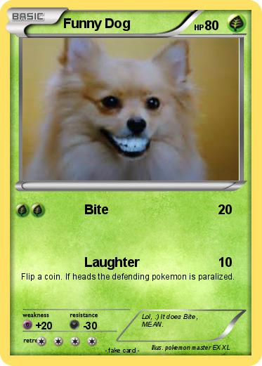 Pokemon Funny Dog