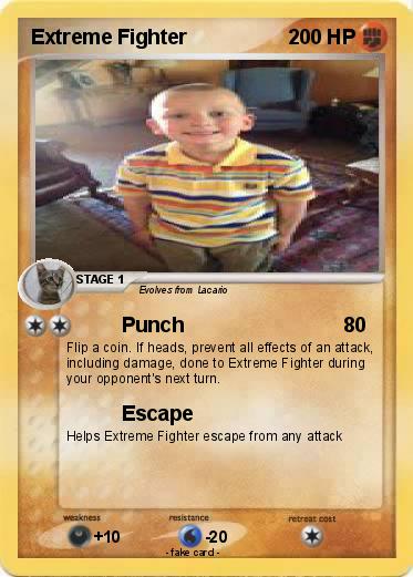 Pokemon Extreme Fighter