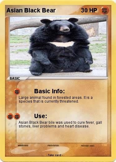 Pokemon Asian Black Bear