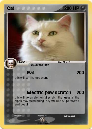 Pokemon Cat