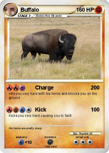 Pokemon Buffalo