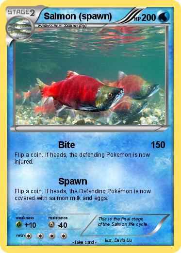 Pokemon Salmon (spawn)