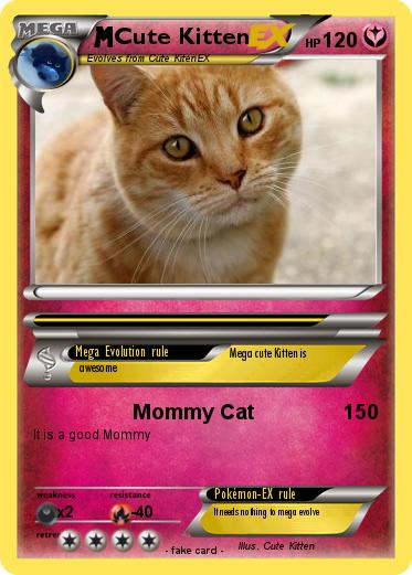 Pokemon Cute Kitten