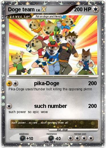 Pokemon Doge team
