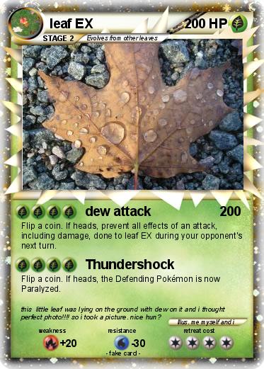 Pokemon leaf EX