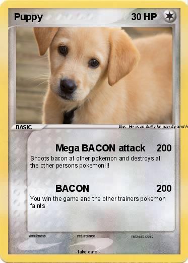 Pokemon Puppy