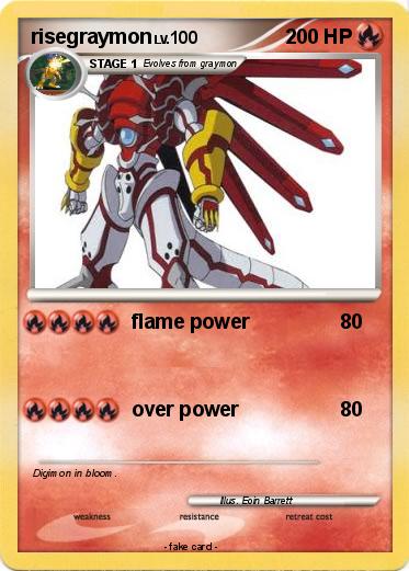 Pokemon risegraymon