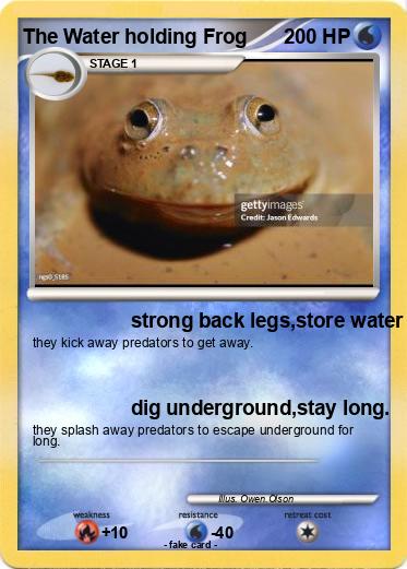Pokemon The Water holding Frog
