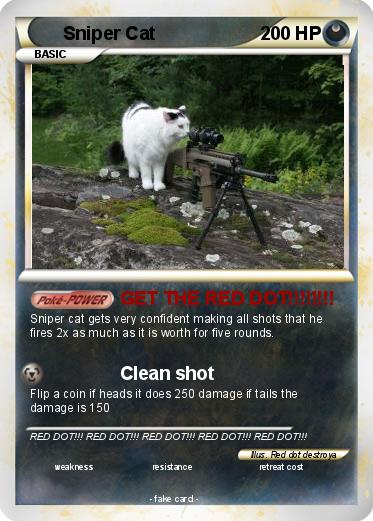 Pokemon Sniper Cat