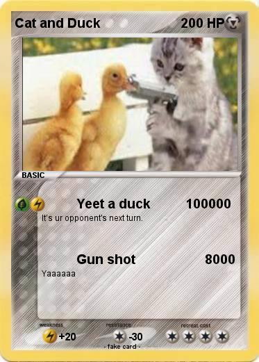Pokemon Cat and Duck