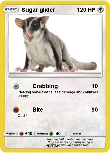 Pokemon Sugar glider