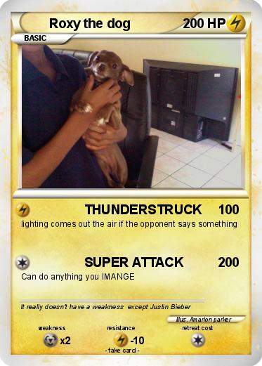Pokemon Roxy the dog