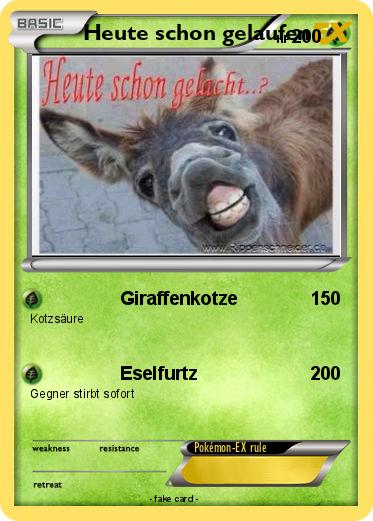 Pokemon Heute schon gelaufen