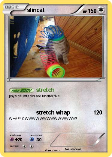 Pokemon slincat
