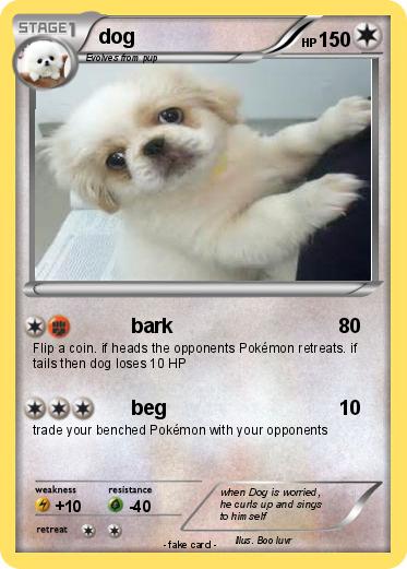 Pokemon dog