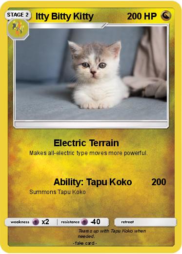 Pokemon Itty Bitty Kitty