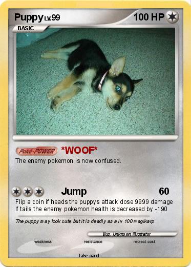 Pokemon Puppy