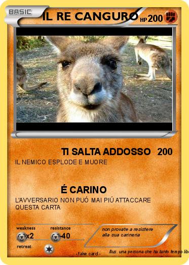 Pokemon IL RE CANGURO