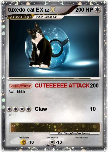 Pokemon tuxedo cat EX
