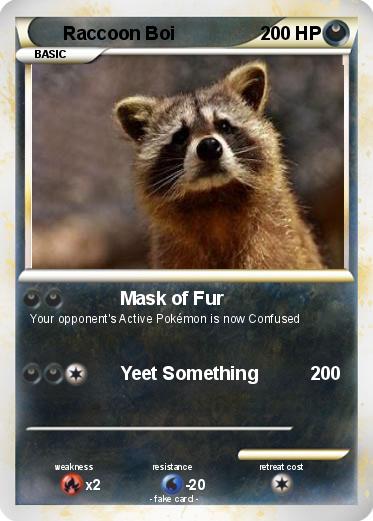 Pokemon Raccoon Boi