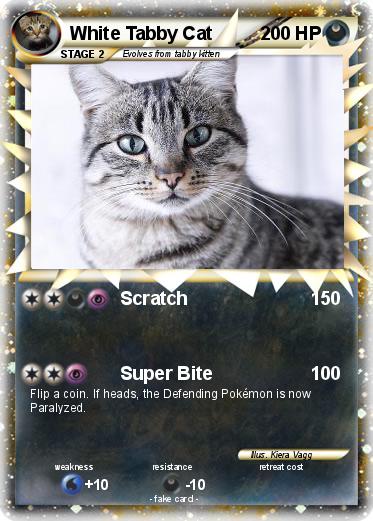 Pokemon White Tabby Cat