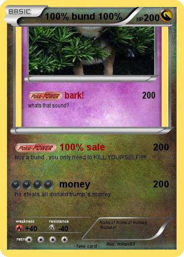 Pokemon 100% bund 100%