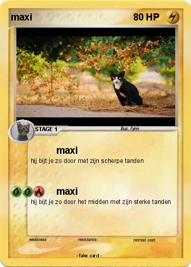 Pokemon maxi