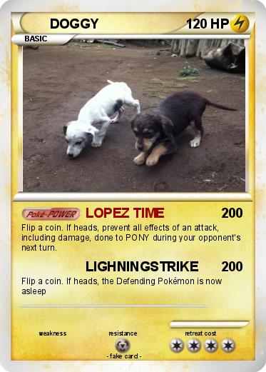 Pokemon DOGGY