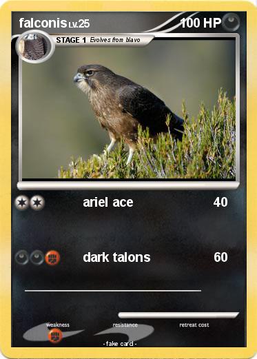 Pokemon falconis