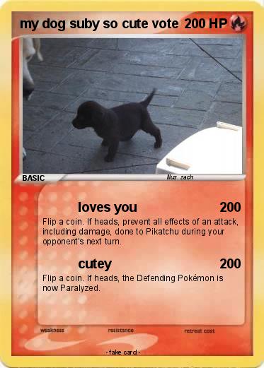 Pokemon my dog suby so cute vote