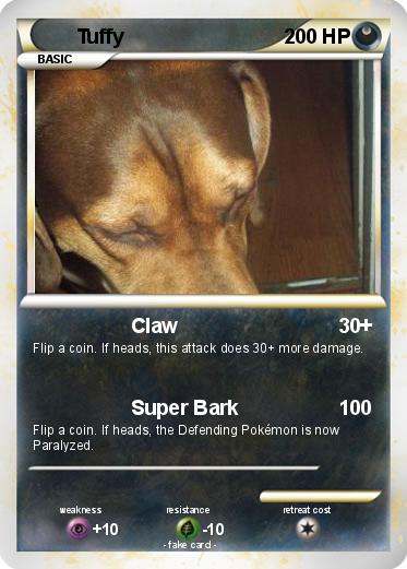 Pokemon Tuffy