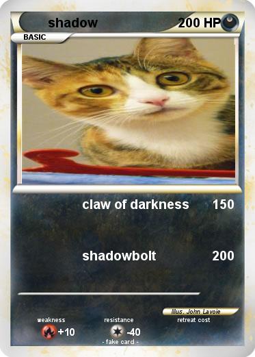 Pokemon shadow