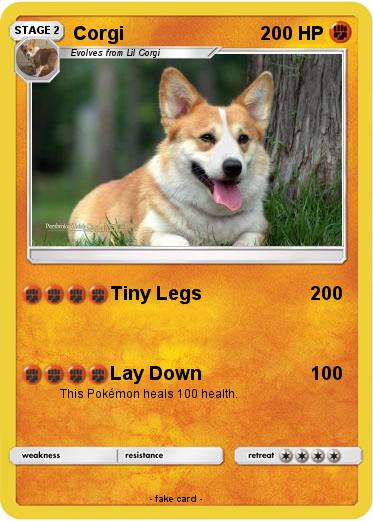 Pokemon Corgi