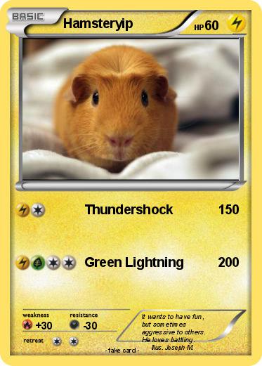 Pokemon Hamsteryip