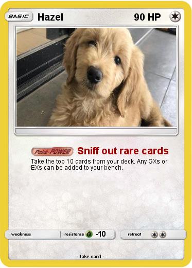 Pokemon Hazel