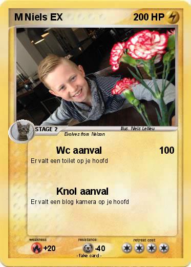 Pokemon M Niels EX